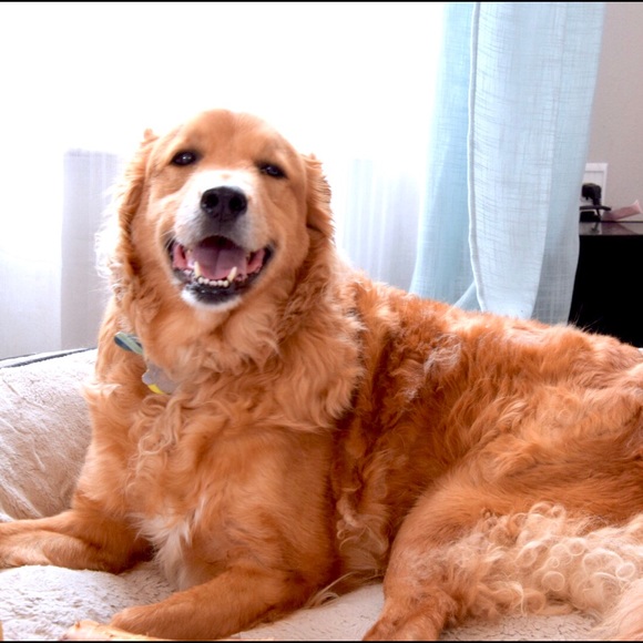 Meet your Posher, Regina - Picture 3 of 5